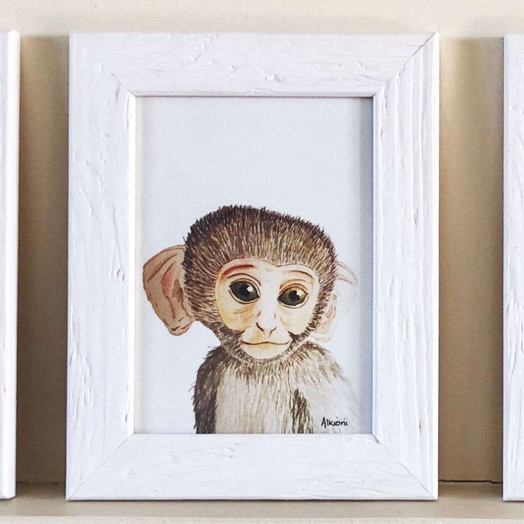 Monkey Portrait